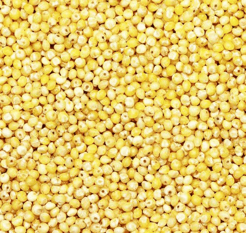 Yellow Millet